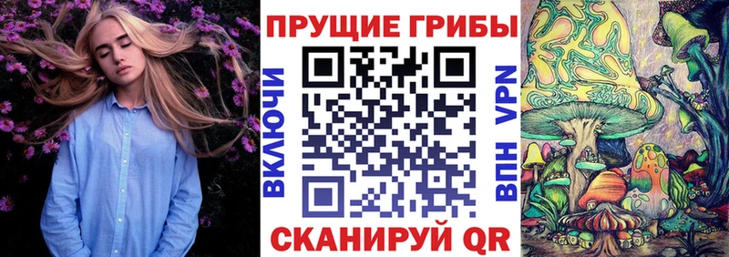 Купить где  Тейково  Псилоцибиновые грибы MAGIC MUSHROOMS 